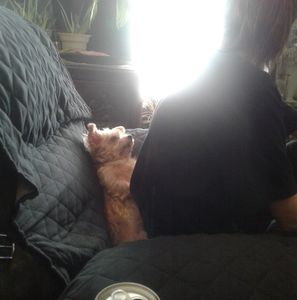 Meet your Posher, Lee